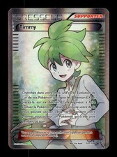 Carte Pokémon Timmy 107/108