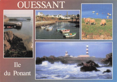 Ile ouessant le - 29, port