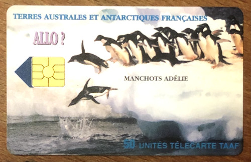Taaf allo manchots - manchots, tÉlÉcarte