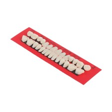 Dents Artificielles En Résine