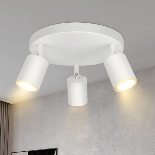 Plafonnier spot orientable - plafonnier,