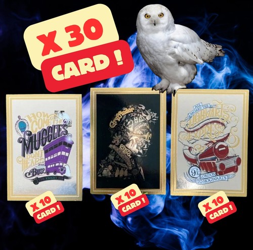 Carte panini harry potter - harry,