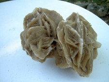 Grande rose des sables - rose,