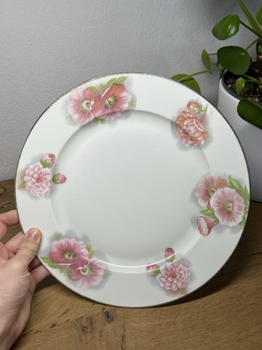 Assiette limoges porcelaine - limoges,