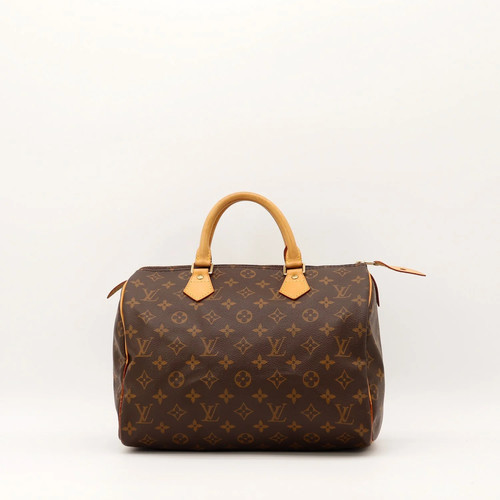Sac main louis vuitton - main,