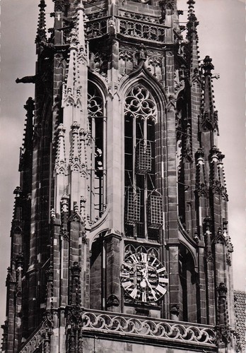 Allemagne muenster les cages - allemagne,