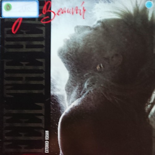 Jean beauvoir feel the - beauvoir,