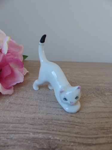 Chat blanc qui étire en - blanc,