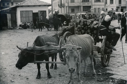Tirana 1940 attelage - c., de