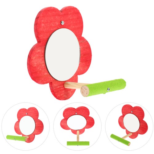 Miroir perroquet interactif - perroquet,