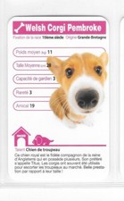 Carte Top Trumps - Chiens - Welsh Corgi Pembroke