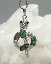 Paua Coquille Abalone