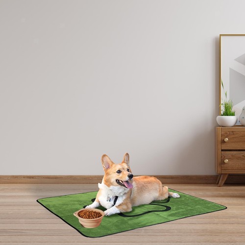 Tapis lavage pour chiens - tapis,