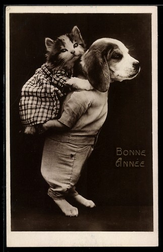 Carte postale beagle habillé - carte,