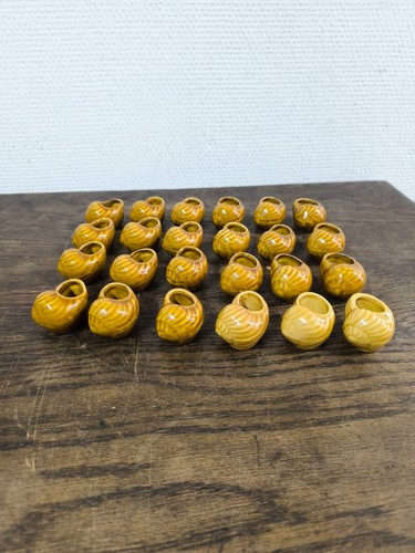 Lot coquilles escargot - lot,