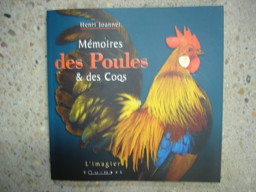 Mémoires des poules - poules,