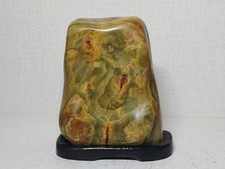 Suiseki Bonseki Bonsai Viewing