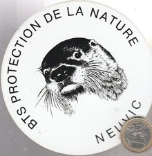 C65 enseignement. BTS