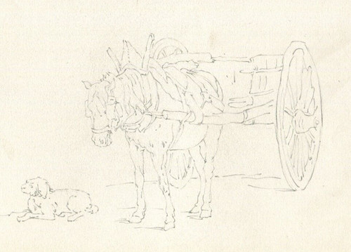 Cheval dessin crayon - cheval, de
