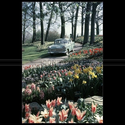Photo 007126 opel kapitän - photo,