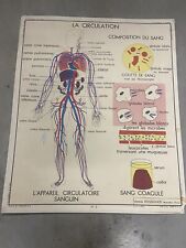 Carte Affiche Scolaire