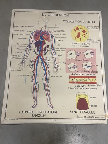 Carte affiche scolaire - affiche,