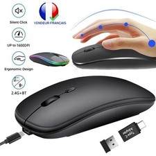 Souris Sans Fil Ergonomique Bluetooth 24GHz USB Compatible PC Portable Macbook