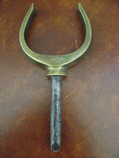 Ancienne Dame de Nage