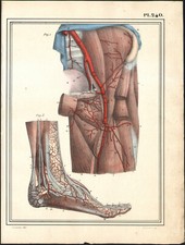 1825 Gravure originale