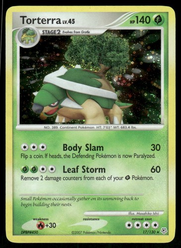 2007 torterra 130 - 2007, holo