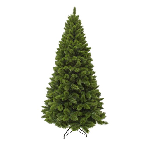 Triumph tree camden - tree, sapin