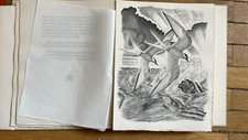André Gide ‘Nouvelles