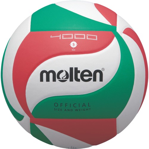 V5m4000 ballon volleyball - de,