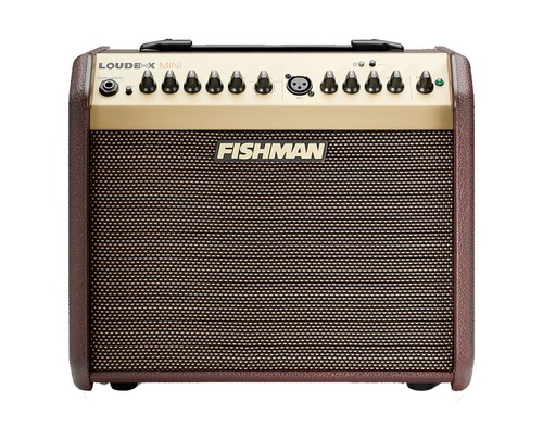 Fishman loudbox mini acoustic - loudbox,