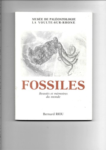 Fossiles beautés et - fossiles,,