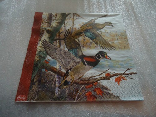 Serviettes papier - en,