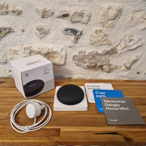 Google home mini charbon - mini,