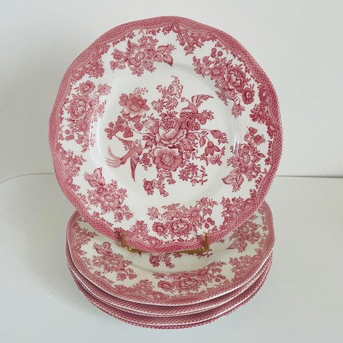 Lot grandes assiettes - grandes,