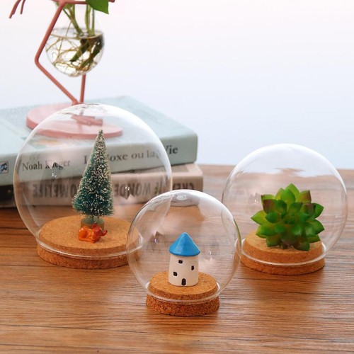 Terrarium décoratif bois - décoratif,