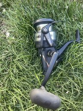 Daiwa Regal 4500 BRI Fishing