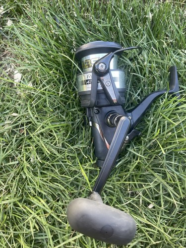 Daiwa regal 4500 - bri, fishing