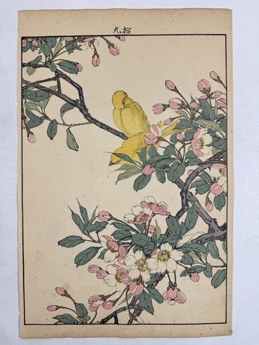 Estampe japonaise sur bois - , «