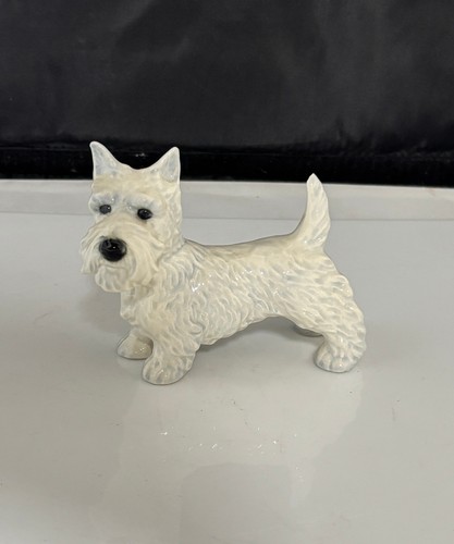 Goebel west highland - goebel, terrier