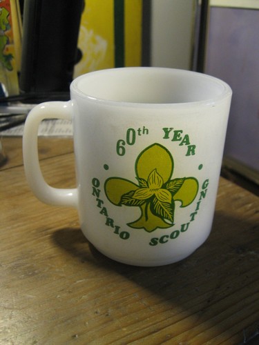 Boy scouts camp - boy, ontario