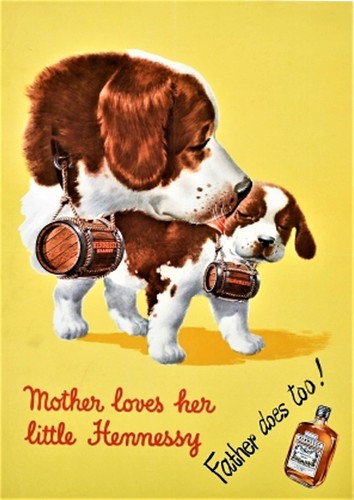 Chiens bernard avec - chiens, st