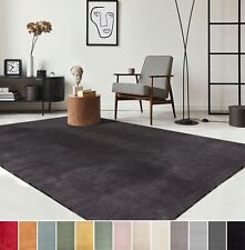 Tapis de salon doux à poils courts, antidérapant