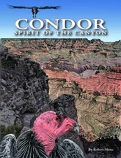NEW - Condor: Spirit of the