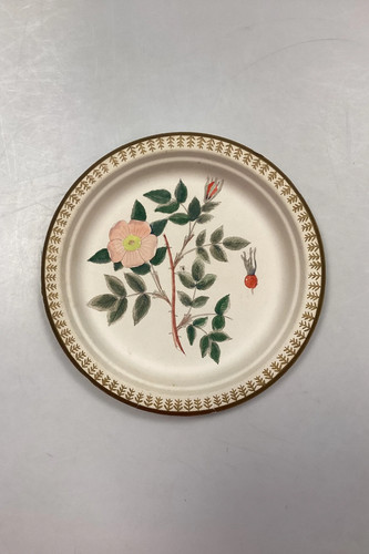 Assiette papier royal - assiette, en