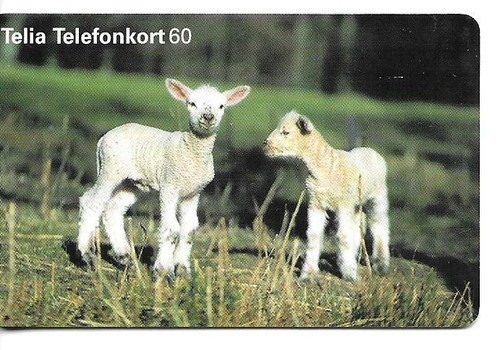 Rare carte telephonique - /,
