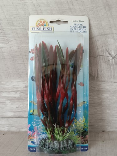 Valisnéria red plante - valisnéria,